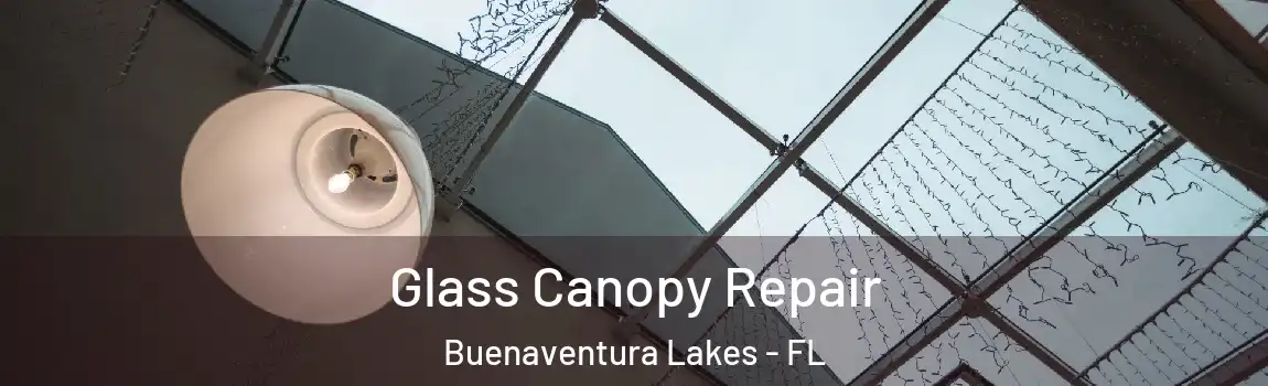  Glass Canopy Repair Buenaventura Lakes - FL