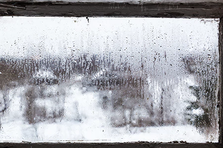 Defogging Double Pane Windows in Buenaventura Lakes, FL