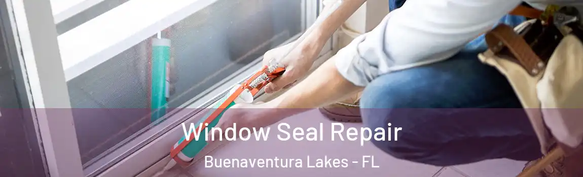 Window Seal Repair Buenaventura Lakes - FL